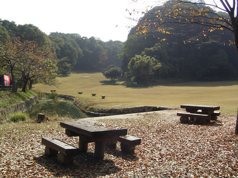 県立矢田自然公園子供の森