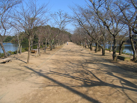 亀鶴公園