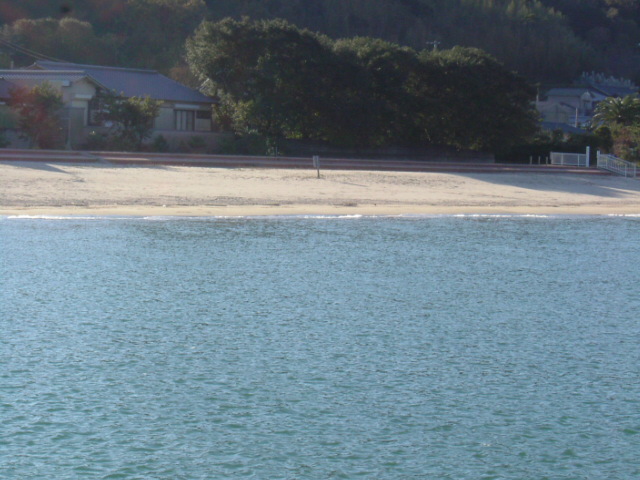 興津海岸