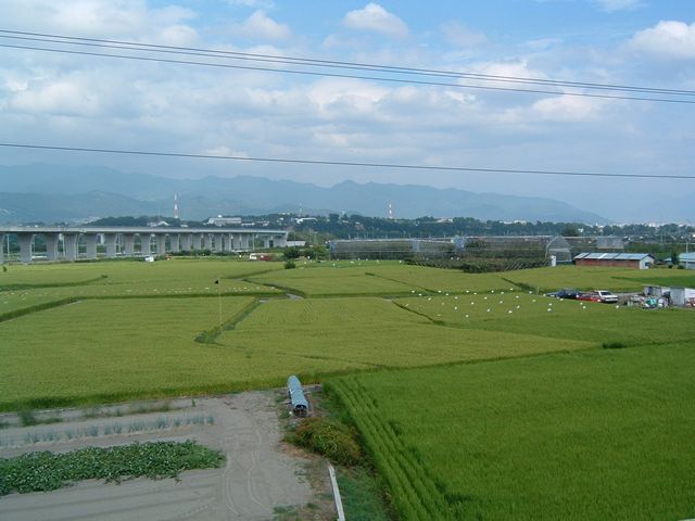 八田農村風景