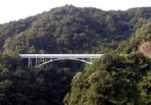 A bridge in Osaka prefecture