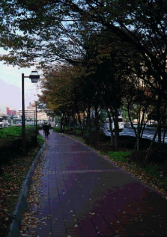 Nakanoshima  alameda