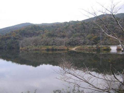 桜の名所でもある山中の池