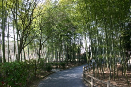 琵琶湖文化公園