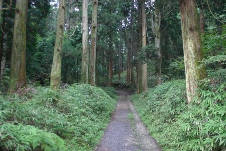 比叡山　横川　森林