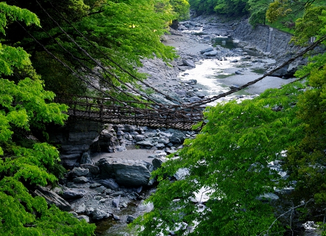 祖谷のかずら橋