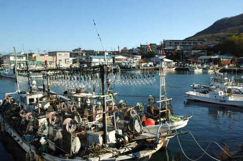 函館漁港
