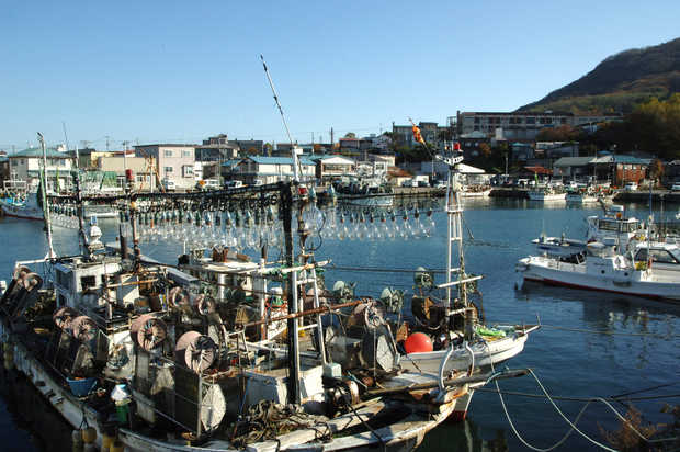 Hakodate Fishing Port