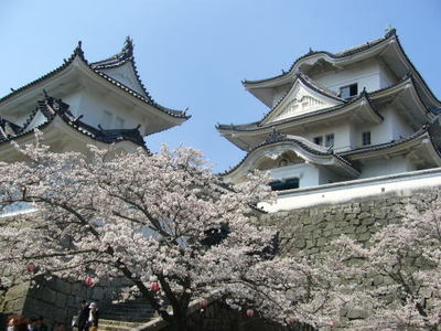 ueno castle