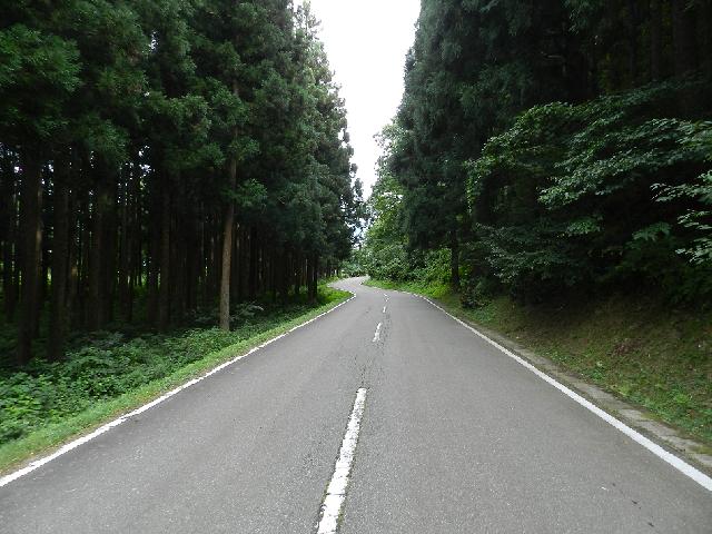 姫神公園・山道