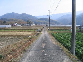 木熊野神社付近の田園風景