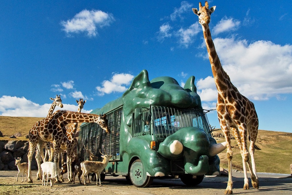 九州自然動物公園アフリカンサファリ（大分県） | 【ロケ地 検索】全国