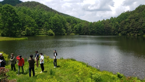 千代田湖 - 湖畔(6月)