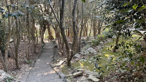 アコウの木までの道中