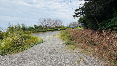 道の横にスペースがあります