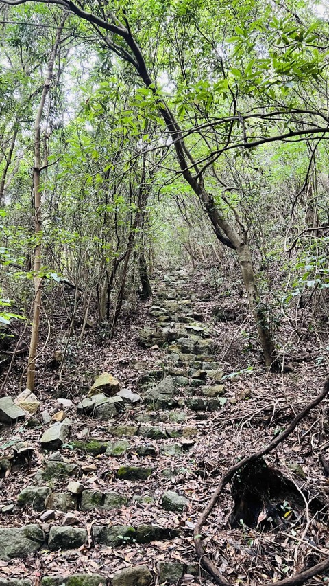 まるでジブリに出てくる道