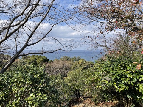 アコウの木に向かう途中垣間見える海