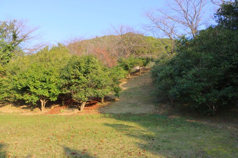 途中に広場がある