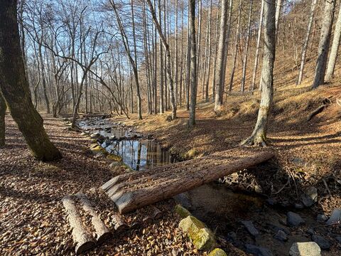 NATIONAL SHINSHUTAKATO YOUTH CENTER