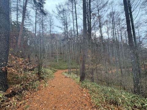 NATIONAL SHINSHUTAKATO YOUTH CENTER