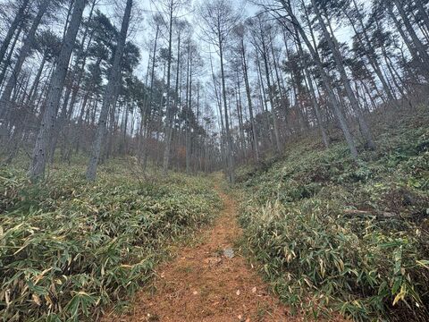 NATIONAL SHINSHUTAKATO YOUTH CENTER