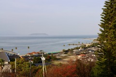 展望台から見える景色