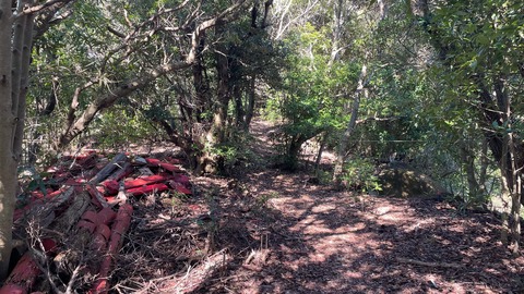 神社の裏側の山道