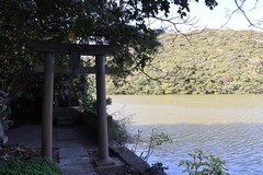 葉が水面に一枚も落ちていない